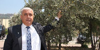 Sofralık zeytin ihracatı 100 bin tona koşuyor