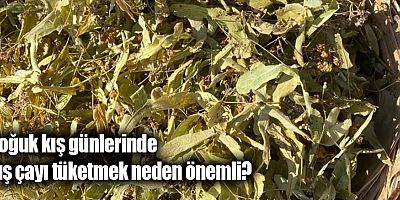 Soğuk kış günlerinde kış çayı tüketmek neden önemli?