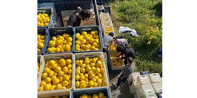 ŞOK Marketler deprem bölgesinde tarımı ve çiftçiyi destekliyor