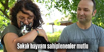 Sokak hayvanı sahiplenenler mutlu