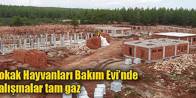 Sokak Hayvanları Bakım Evi’nde çalışmalar tam gaz