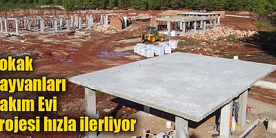 Sokak Hayvanları Bakım Evi Projesi hızla ilerliyor