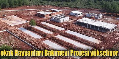 Sokak Hayvanları Bakımevi Projesi yükseliyor