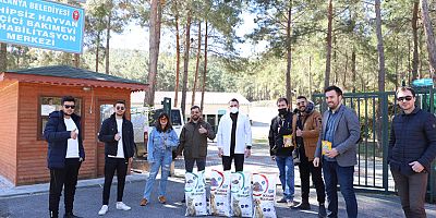 Sokak hayvanları için örnek davranış