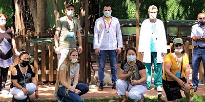 Sokak hayvanlarına yasak boyunca özel ilgi