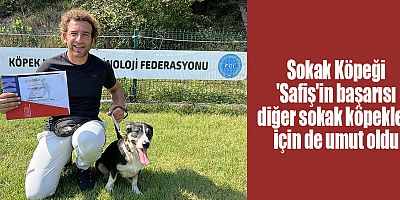Sokak Köpeği 'Safiş'in başarısı diğer sokak köpekleri için de umut oldu