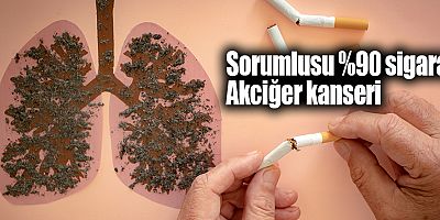 Sorumlusu %90 sigara: Akciğer kanseri