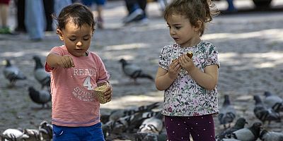 Sosyal ve Ekonomik Destek miktarı 1259 TL’den 1611 TL’ye yükseltildi