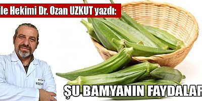 ŞU BAMYANIN FAYDALARI