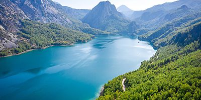 Su ve Orman: Doğanın, Refahın ve Eşitliğin Temel Taşları