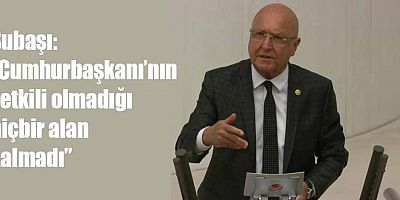 Subaşı; “Cumhurbaşkanı’nın yetkili olmadığı hiçbir alan kalmadı”