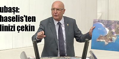 Subaşı: Phaselis'ten elinizi çekin