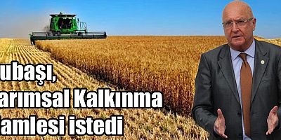 Subaşı, Tarımsal Kalkınma Hamlesi istedi