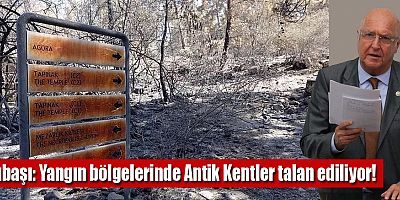 Subaşı: Yangın bölgelerinde Antik Kentler talan ediliyor!