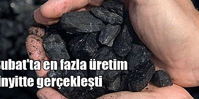 Şubat'ta en fazla üretim linyitte gerçekleşti