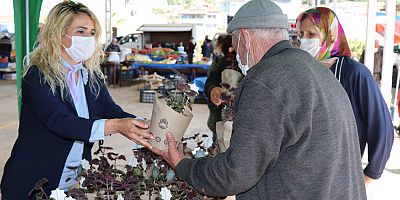 Sultan Keykubat'ın Alanya'yı fethinin 800 yılı anısına çiçek dağıtımı devam ediyor