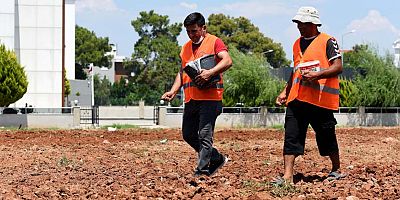 Susam tarımı başladı
