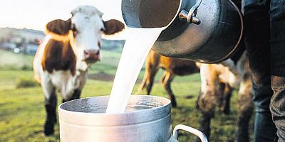 Süt üretimi yüzde 6.1 azaldı