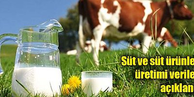 Süt ve süt ürünleri üretimi verileri açıklandı