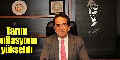 Tarım enflasyonu yükseldi