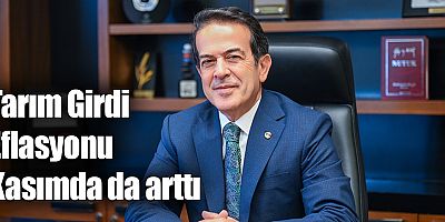 Tarım Girdi Eflasyonu Kasımda da arttı