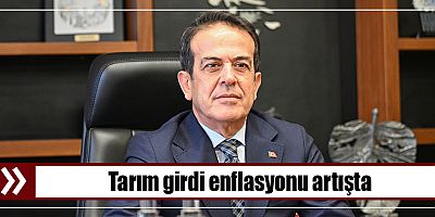 Tarım girdi enflasyonu artışta