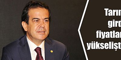 Tarım girdi fiyatları yükselişte