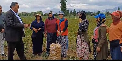 Tarım işçisi kadınlar: “Eve ekmek götürebilmek için gece 3’ten beri çalışıyoruz”