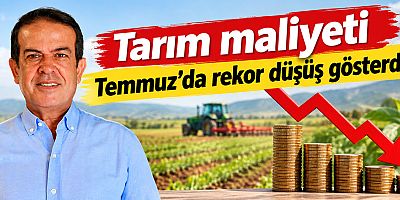 Tarım maliyeti Temmuz'da rekor düşüş gösterdi