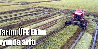 Tarım ÜFE ekim ayında arttı