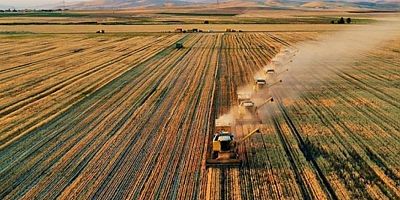 Tarım-ÜFE yıllık %24