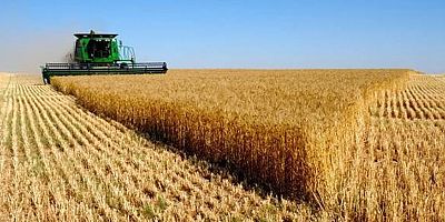 Tarım-ÜFE yıllık %8