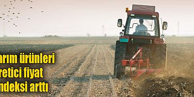 Tarım ürünleri üretici fiyat endeksi arttı