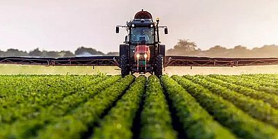 Tarım ürünleri üretici fiyat endeksi (Tarım-ÜFE) yıllık %44