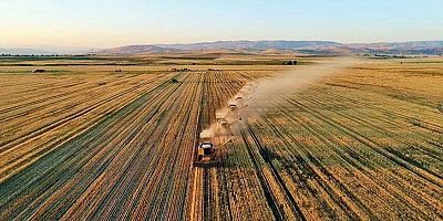 Tarım ürünleri üretici fiyat endeksi yıllık yüzde 169