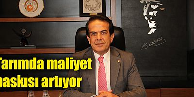 Tarımda maliyet baskısı artıyor