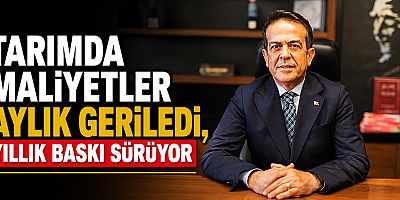 Tarımda maliyetler aylık geriledi, yıllık baskı sürüyor