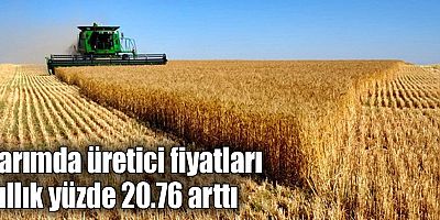 Tarımda üretici fiyatları yıllık yüzde 20.76 arttı