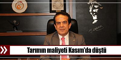 Tarımın maliyeti Kasım'da düştü