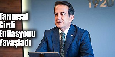Tarımsal Girdi Enflasyonu Yavaşladı