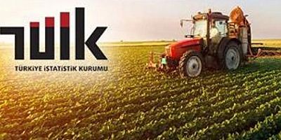 Tarımsal girdi fiyat endeksi Ekim'de arttı