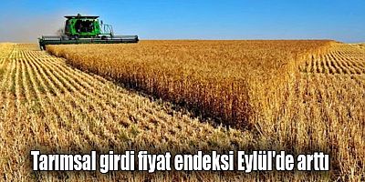 Tarımsal girdi fiyat endeksi Eylül'de arttı