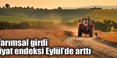 Tarımsal girdi fiyat endeksi eylülde arttı