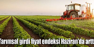 Tarımsal girdi fiyat endeksi Haziran'da arttı