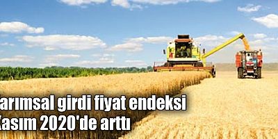 Tarımsal girdi fiyat endeksi Kasım 2020'de arttı