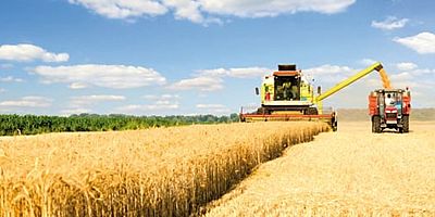 Tarımsal Girdi Fiyat Endeksi'nin Eylül 2021 verileri açıklandı