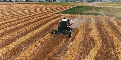 Tarımsal girdi fiyat endeksi (Tarım-GFE) yıllık %31,55 arttı, aylık %3,10 arttı