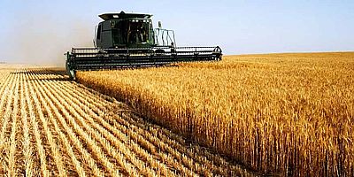 Tarımsal girdi fiyat endeksi (Tarım-GFE) yıllık %45