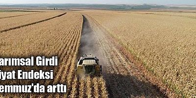 Tarımsal Girdi Fiyat Endeksi Temmuz'da arttı