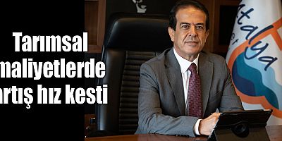 Tarımsal maliyetlerde artış hız kesti